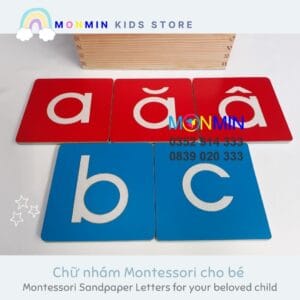 Bộ chữ nhám Tiếng Việt MONMIN (Montessori Sandpaper Letters)