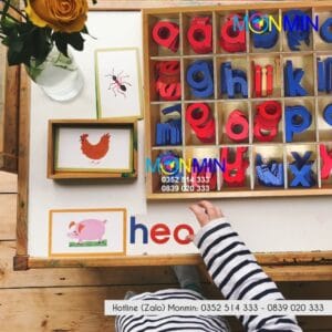 Chữ di động Tiếng Việt - Nét in thường - Học ghép chữ thành câu - Giáo cụ Montessori - Monmin
